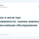 Белок в моче при беременности: оценка анализа и дальнейшее обследование