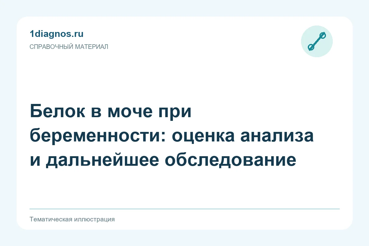 Белок в моче при беременности: оценка анализа и дальнейшее обследование — тематическая иллюстрация