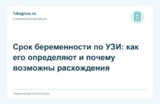 Срок беременности по УЗИ: как его определяют и почему возможны расхождения