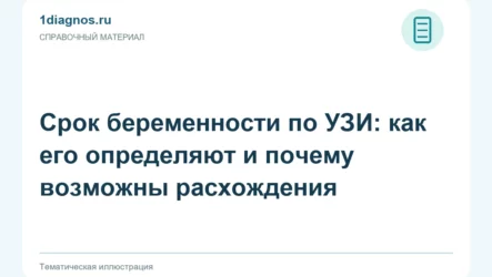 Срок беременности по УЗИ: как его определяют и почему возможны расхождения