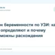 Срок беременности по УЗИ: как его определяют и почему возможны расхождения
