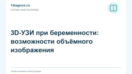 3D-УЗИ при беременности: возможности объёмного изображения