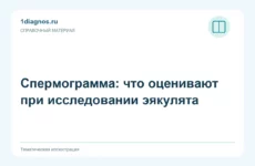 Спермограмма: что оценивают при исследовании эякулята