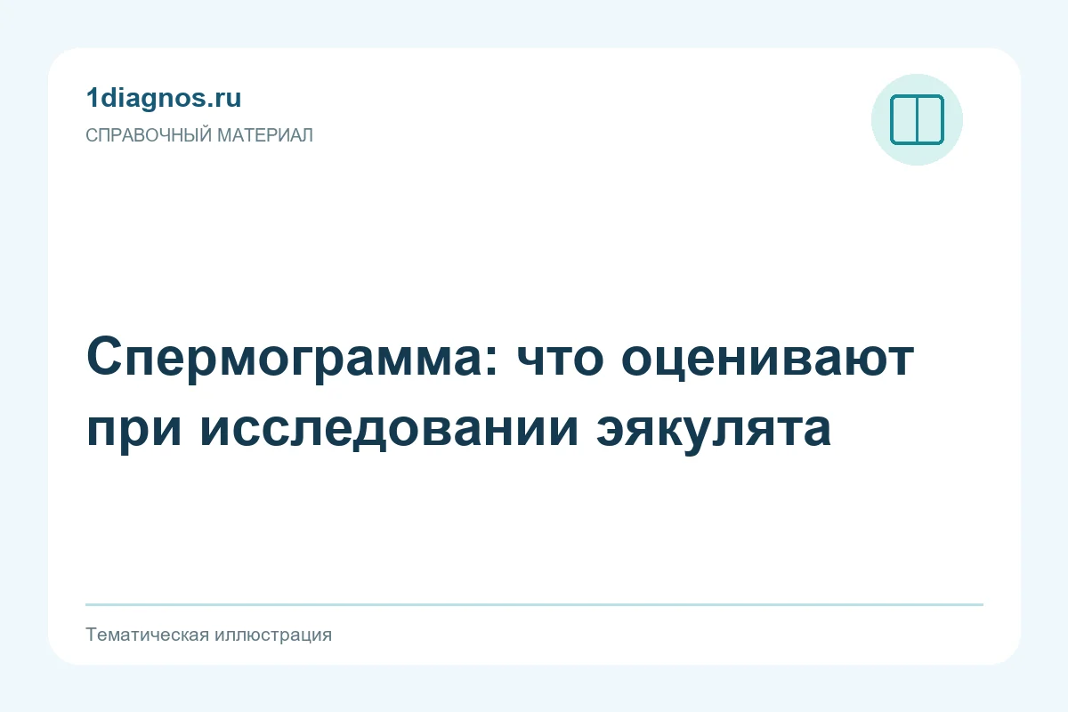 Спермограмма: что оценивают при исследовании эякулята — тематическая иллюстрация