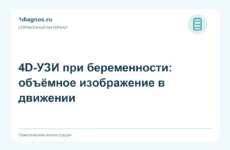 4D-УЗИ при беременности: объёмное изображение в движении