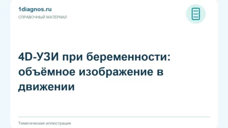 4D-УЗИ при беременности: объёмное изображение в движении