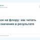 Мазок на флору: как читать обозначения в результате