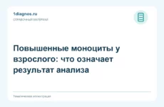 Повышенные моноциты у взрослого: что означает результат анализа