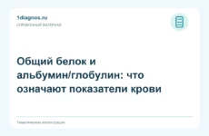Общий белок и альбумин/глобулин: что означают показатели крови