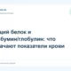 Общий белок и альбумин/глобулин: что означают показатели крови