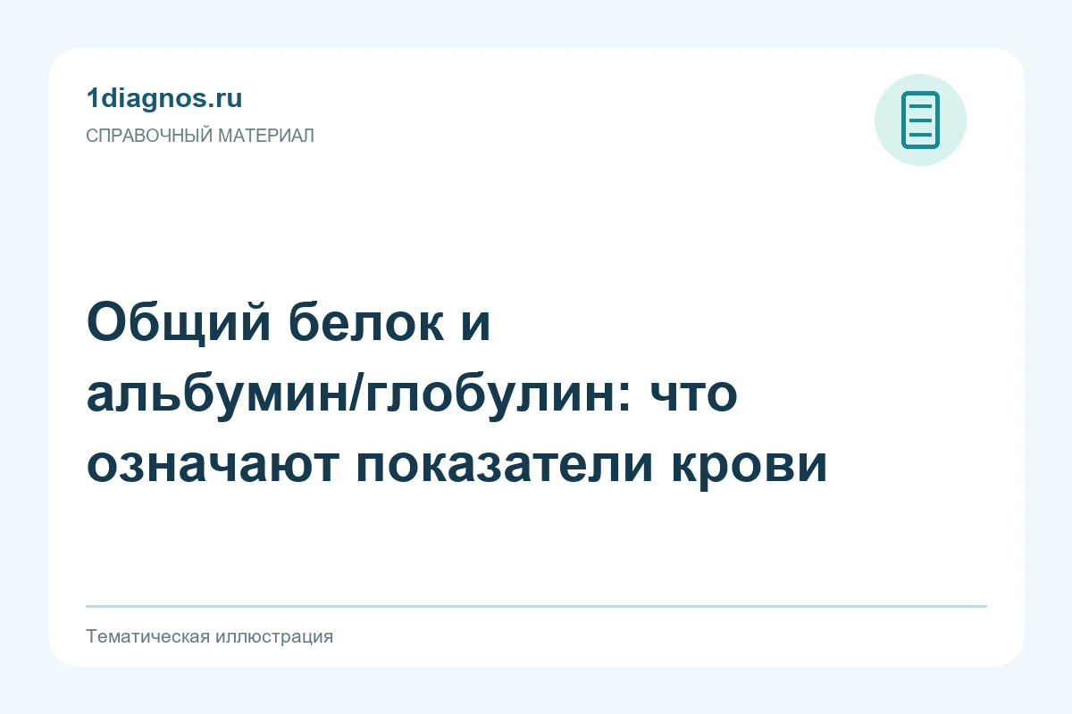 Общий белок и альбумин/глобулин: что означают показатели крови — тематическая иллюстрация