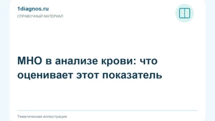 МНО в анализе крови: что оценивает этот показатель