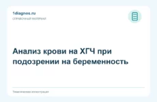 Анализ крови на ХГЧ при подозрении на беременность