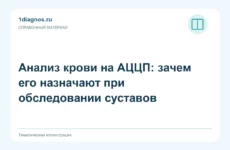 Анализ крови на АЦЦП: зачем его назначают при обследовании суставов