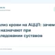 Анализ крови на АЦЦП: зачем его назначают при обследовании суставов
