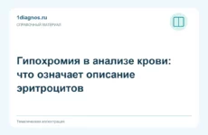 Гипохромия в анализе крови: что означает описание эритроцитов