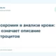 Гипохромия в анализе крови: что означает описание эритроцитов