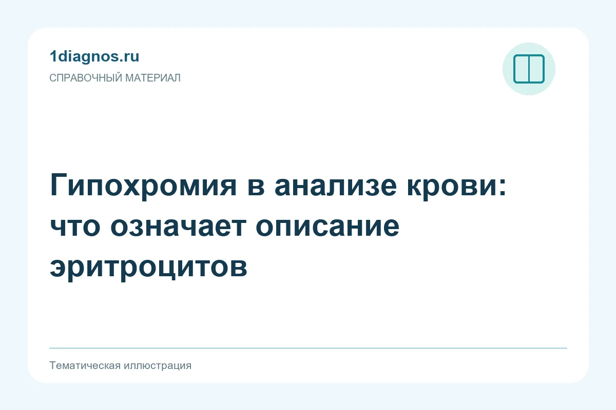 Гипохромия в анализе крови: что означает описание эритроцитов — тематическая иллюстрация