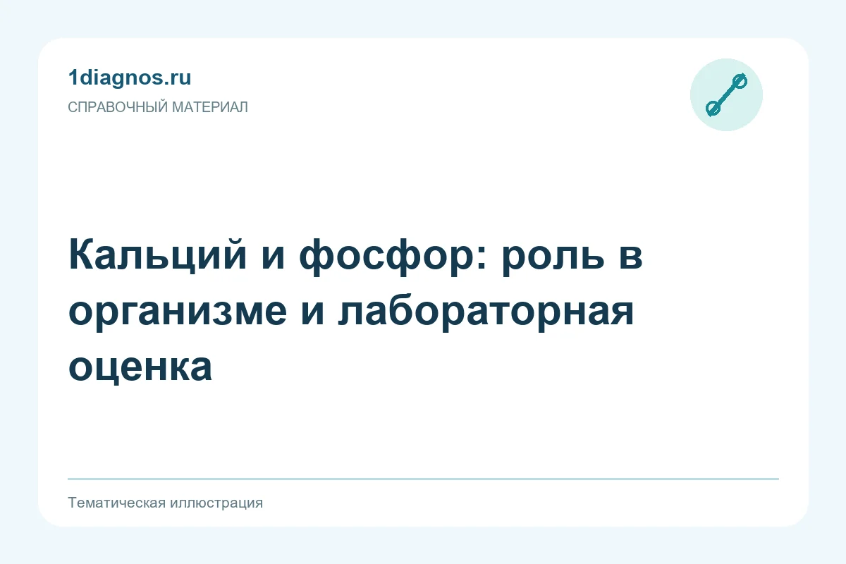 Кальций и фосфор: роль в организме и лабораторная оценка — тематическая иллюстрация