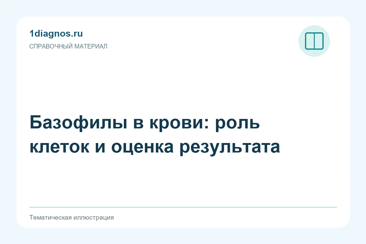 Базофилы в крови: роль клеток и оценка результата — тематическая иллюстрация