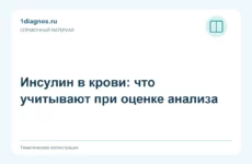 Инсулин в крови: что учитывают при оценке анализа