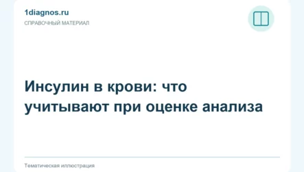 Инсулин в крови: что учитывают при оценке анализа