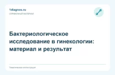 Бактериологическое исследование в гинекологии: материал и результат