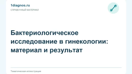 Бактериологическое исследование в гинекологии: материал и результат