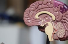 NSE: Онкомаркер при раке мозга и нейроэндокринных опухолях