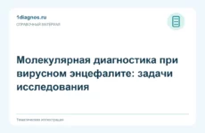 Молекулярная диагностика при вирусном энцефалите: задачи исследования