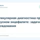 Молекулярная диагностика при вирусном энцефалите: задачи исследования
