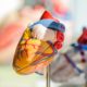 Иммунологические аспекты при артериальной гипертензии