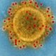 Исследование генетических мутаций вирусов для предотвращения пандемий